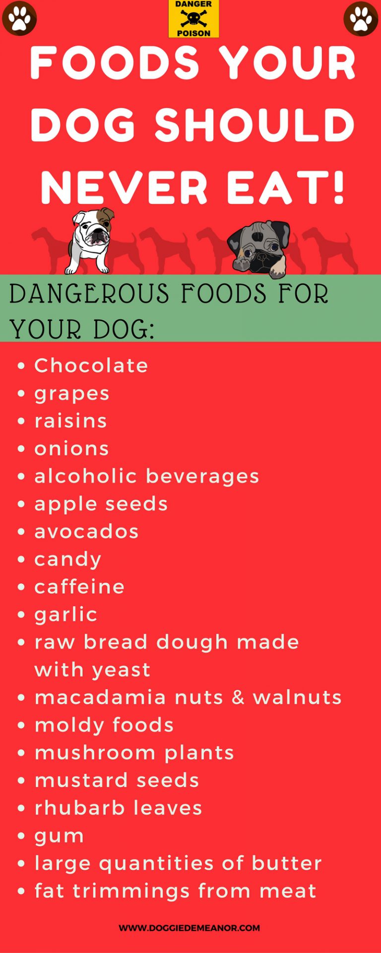 What Foods Are Bad For Dogs? | DoggieDemeanor.com