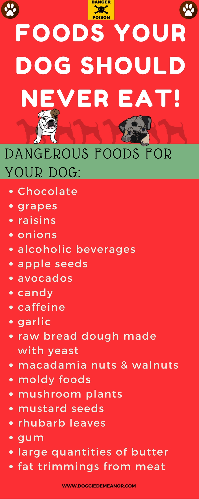 What Foods Are Bad For Dogs?