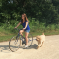 Riding a bike with a dog