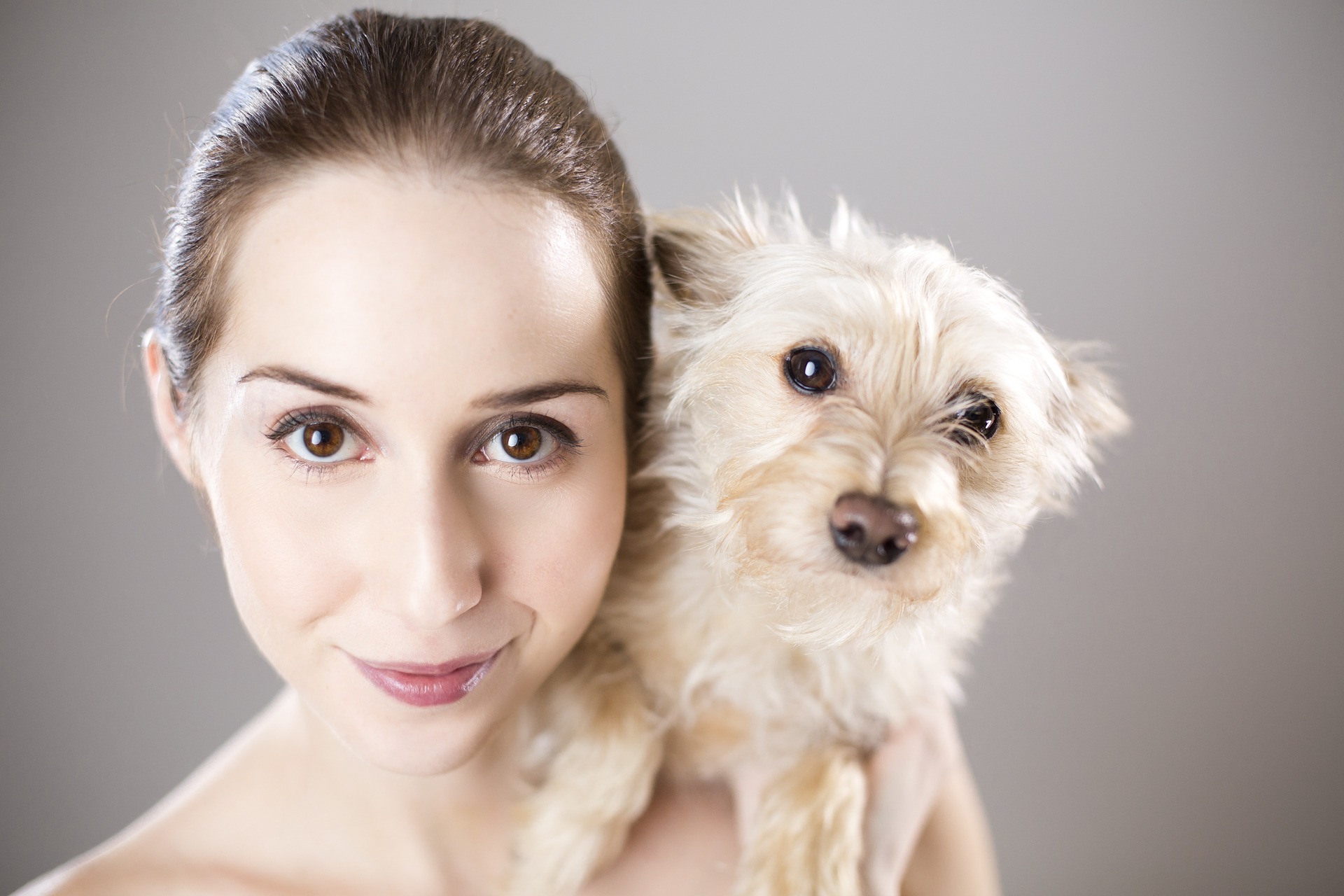 Health benefits to owning a dog
