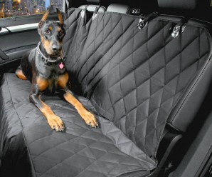 Best Dog Car Seat Cover – Review