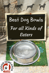 Best dog food bowls