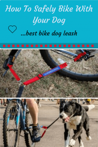 Best bike dog leash-Dogger Jogger Review