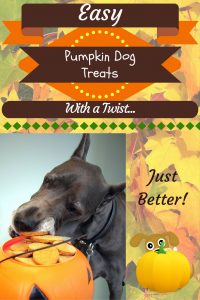 Easy Pumpkin Dog Treats
