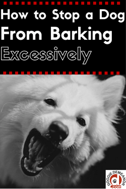 Stopping a dog from barking excessively