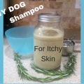 Homemade dog shampoo for itchy skin