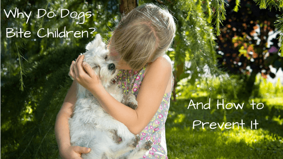 Why Do Dogs Bite Children