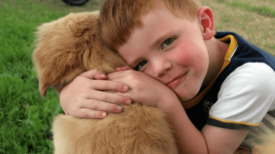 Why do dogs bite children